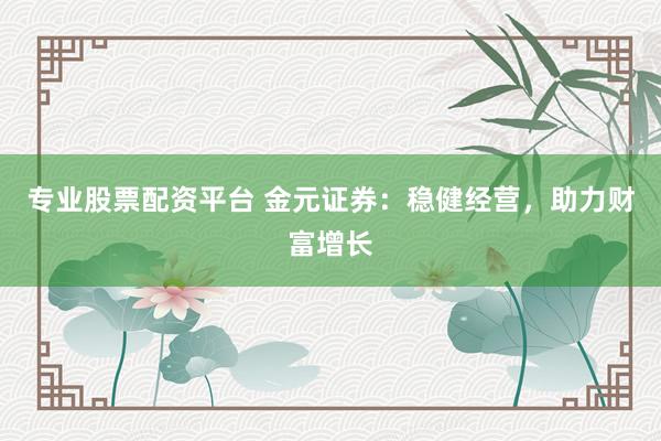 专业股票配资平台 金元证券：稳健经营，助力财富增长
