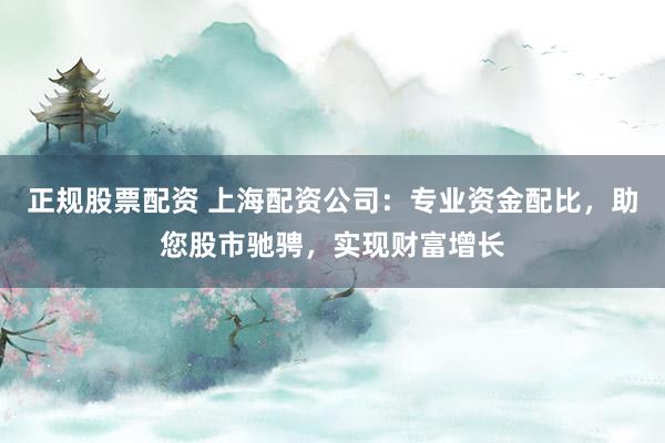 正规股票配资 上海配资公司：专业资金配比，助您股市驰骋，实现财富增长