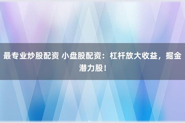 最专业炒股配资 小盘股配资：杠杆放大收益，掘金潜力股！