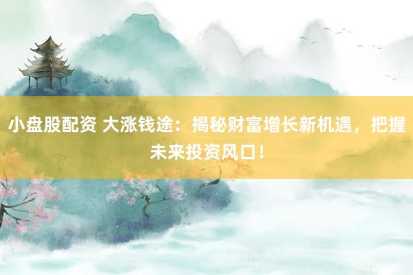 小盘股配资 大涨钱途：揭秘财富增长新机遇，把握未来投资风口！